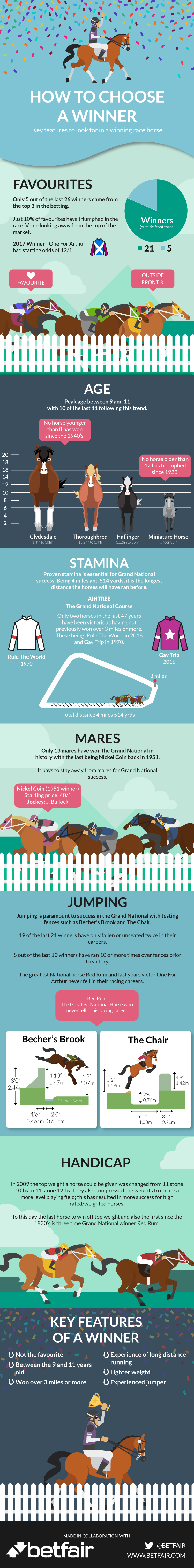 Grand National Winner
