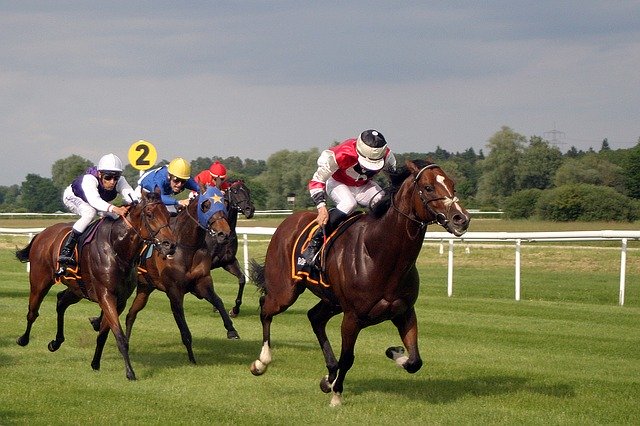 US Horse Racing