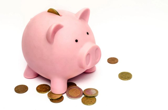 Piggy Bank and Coins