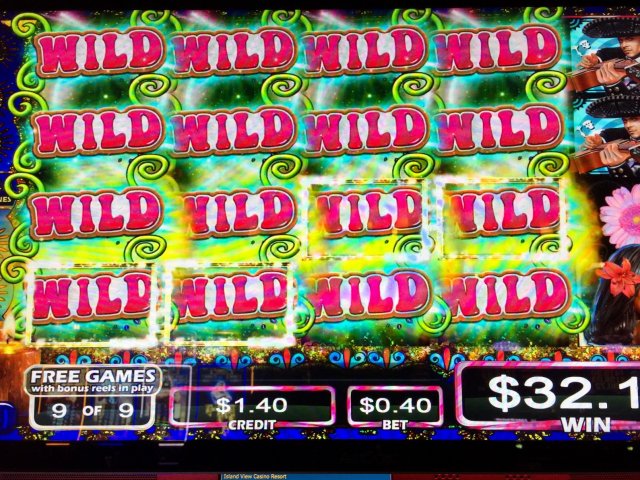 Wild Slots