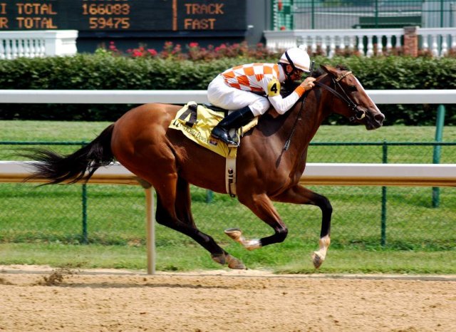 US Horse Racing