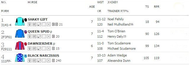 Race Card Horses