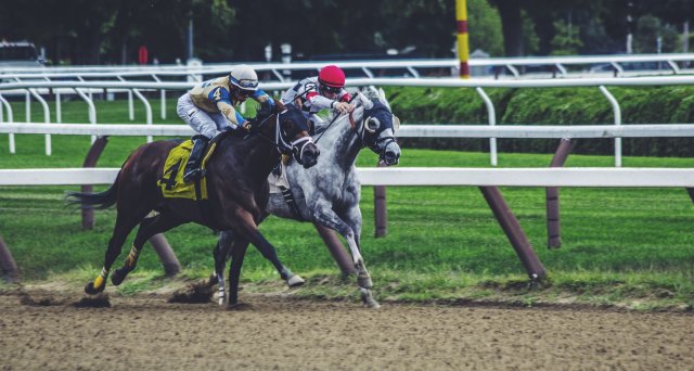 USA horse racing